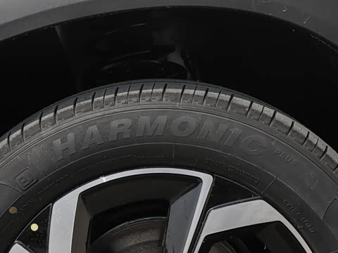 2026�� 530Խ����