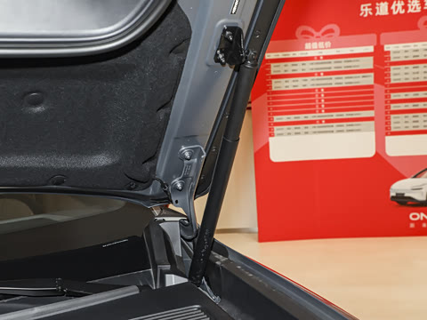 2025�� Pro ������