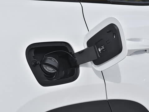 2026�� �����