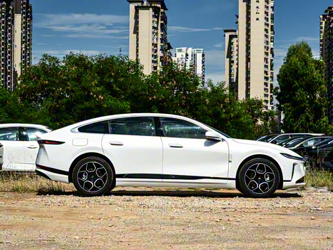 2026�� �����������̰� 310������