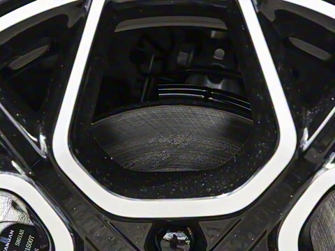 2026�� �����������̰� 310������