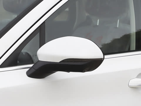 2026�� 2.0T �Զ��쳩Pro��