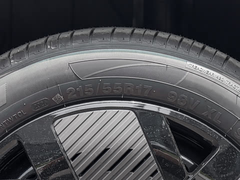 2026�� 501km ���а�