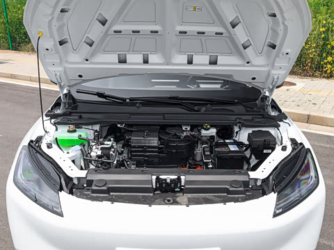 2026�� 501km ���а�