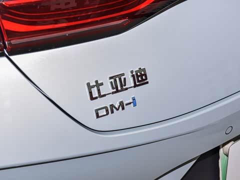 2026�� DM-i 210KM��ȡ��