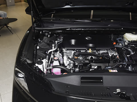 2026�� ˫�� 2.0HSE �˶�Lite��
