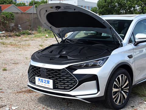 2025�� �Ǽݰ� DM-i 175KM �����