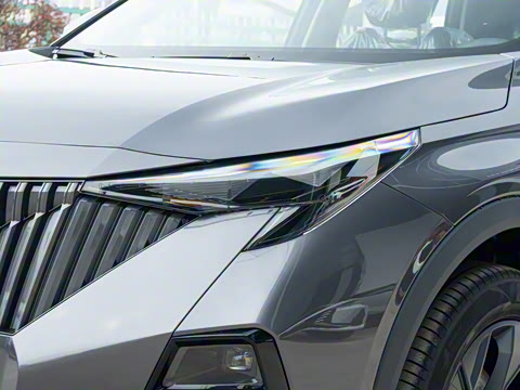 2026�� Ӱ�� 270T ������