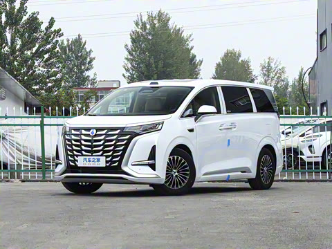 2025�� DM-i ��������