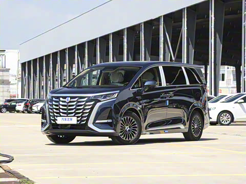 2025�� DM-i ��������