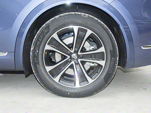 2026�� ���� Max�������� 5��