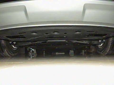 2025�� 520 ��ѡ��