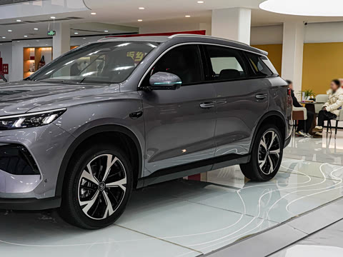 2026�� DM-i 220KM׿Խ��