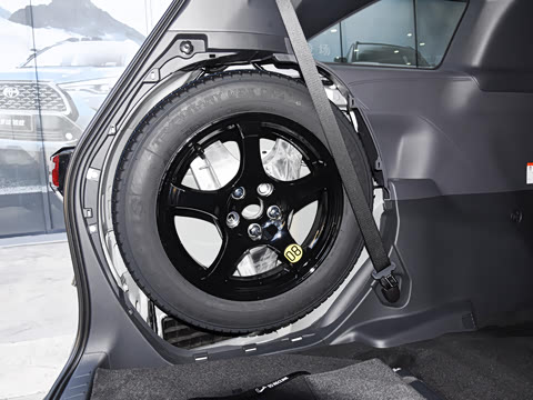 2026�� 2.5L�춯 ������