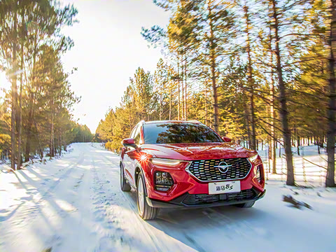 2020�� 1.6TGDI �Զ�������