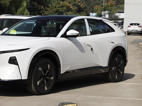 2025�� ����600 Pro