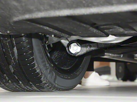 2026�� ��������������