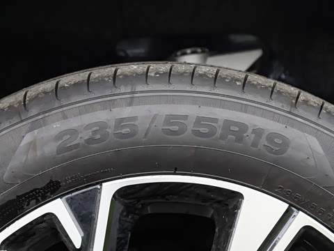 2026�� ���� 310 Max