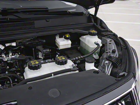 2026�� ���̰� 230�콢�� 7��