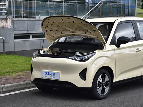 2026�� 310km  max��Ը��