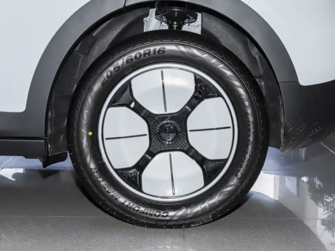 2026�� 310km ������