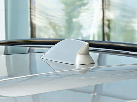 2025�� FREE+ ����Ǭ����