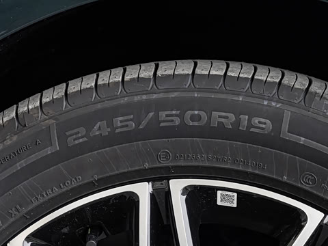 2025�� 260��������������