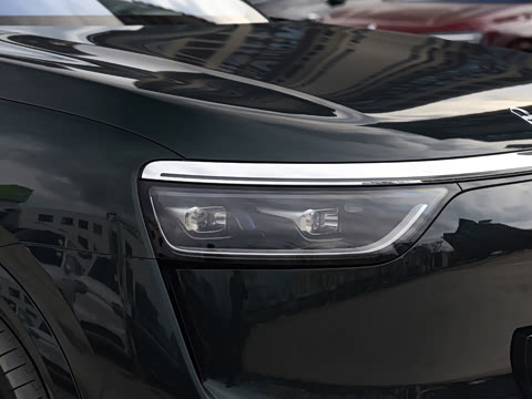 2025�� ���� Max+ ������������ 