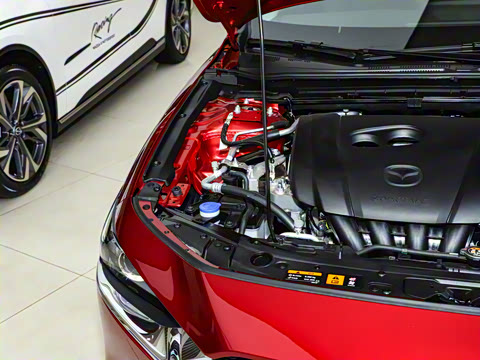 2025�� 2.0L �Զ����Ű�