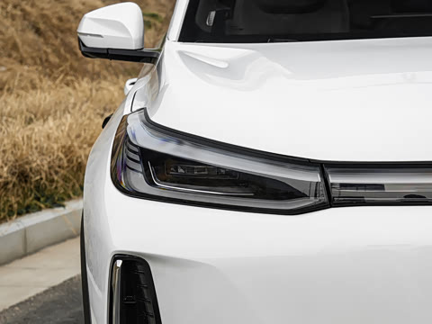 2026�� 225km ����