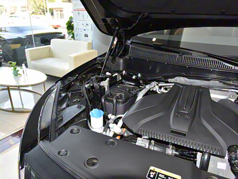 2025�� 2.0T PHEV ���������� 6��