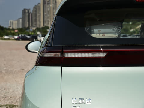 2026�� 305km ���ɰ�