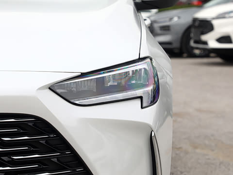 2025�� 25T ������