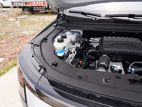 2026�� 220km ��Ӣ�� 5��