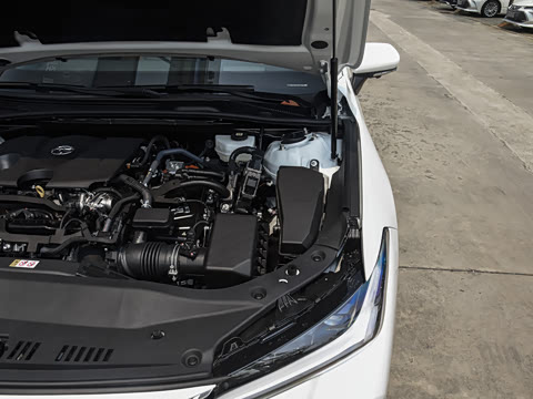 2026�� ˫�� 2.0L ����