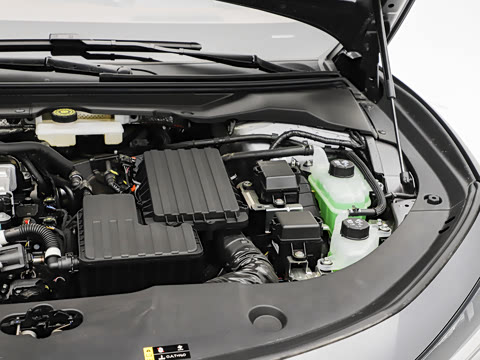 2025�� ������