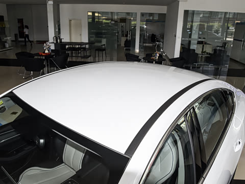 2025�� DM-i 120KM ���а�