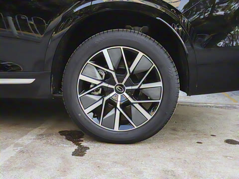 2025�� Ǭ�� Max 5��