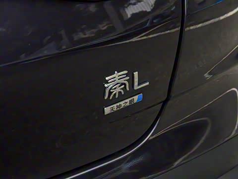 2026�� DM-i 128KM������