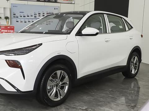 2025�� 565km �����