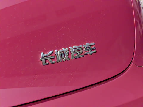 2026�� 480km Pro��