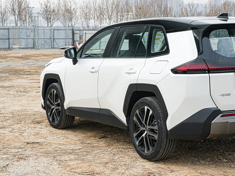 2026�� ˫�� 2.5L �����콢��