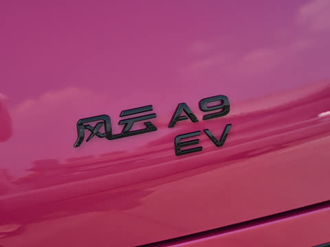 2026�� 655 MAX��