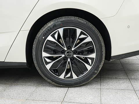 2026�� 705�콢��