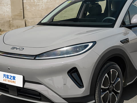 2026�� DM-i 305�캽��