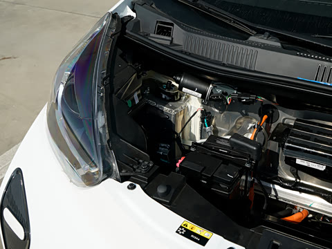 2026�� 271km ϲ����