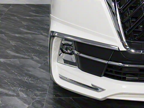 2025�� 9����ʨ ������