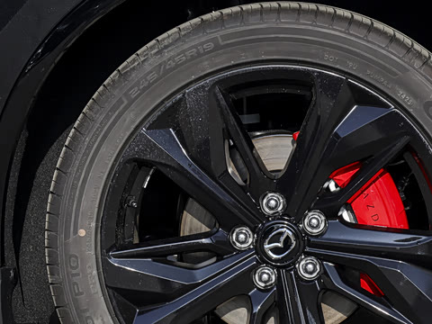 2026�� ����200 Pro�˶���