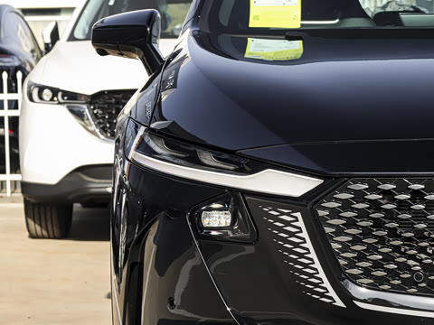 2026�� ����200 Pro�˶���