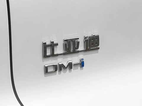 2026�� �ɳ۰� DM-i 220KM��Խ��